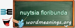 WordMeaning blackboard for nuytsia floribunda